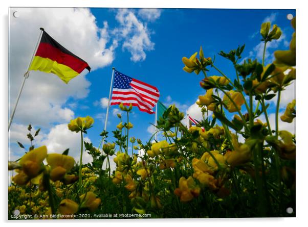 A yellow flowers view of the USA and German flags Acrylic by Ann Biddlecombe