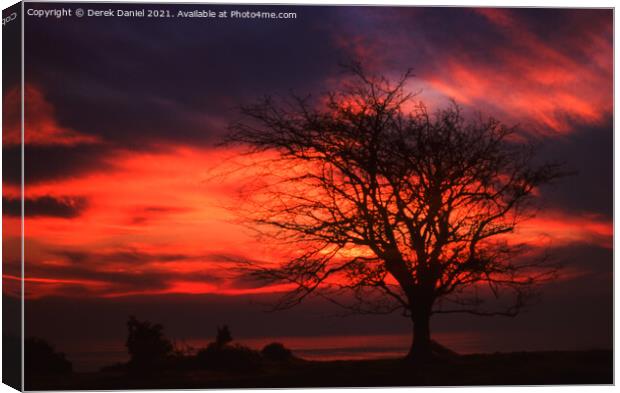 A tree in front of a sunset Canvas Print by Derek Daniel