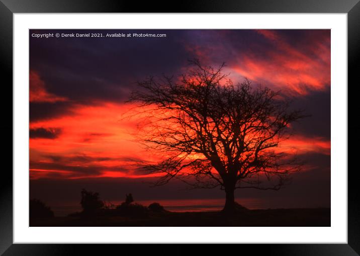 A tree in front of a sunset Framed Mounted Print by Derek Daniel