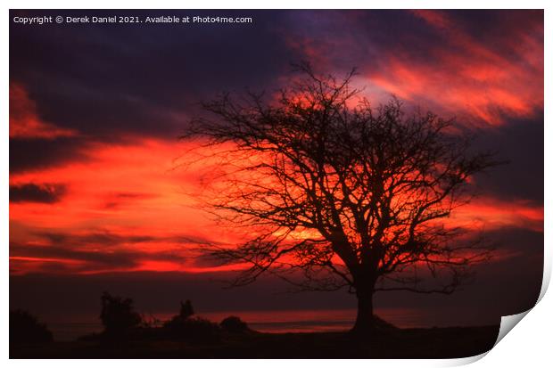 A tree in front of a sunset Print by Derek Daniel