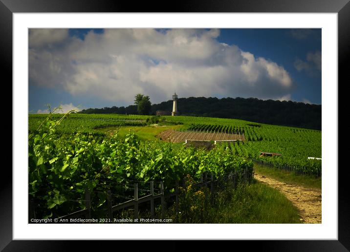 Lighthouse Verzenay surrounded by vineyards Framed Mounted Print by Ann Biddlecombe
