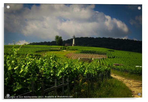 Lighthouse Verzenay surrounded by vineyards Acrylic by Ann Biddlecombe