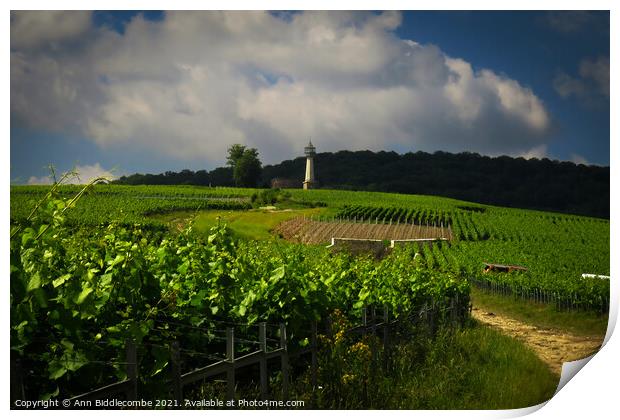 Lighthouse Verzenay surrounded by vineyards Print by Ann Biddlecombe