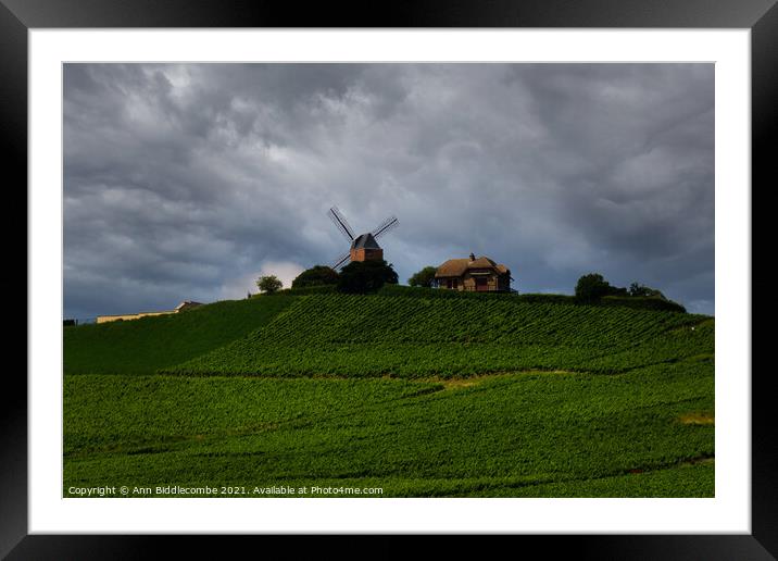 Windmill surrounded by vineyards Framed Mounted Print by Ann Biddlecombe