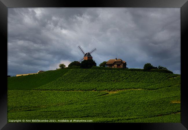 Windmill surrounded by vineyards Framed Print by Ann Biddlecombe