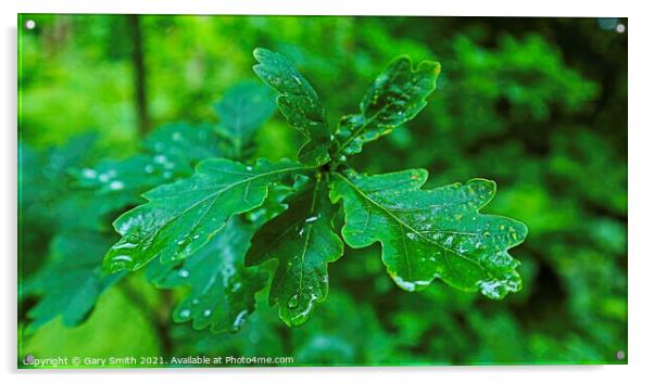 Raindrops on Leaves Acrylic by GJS Photography Artist