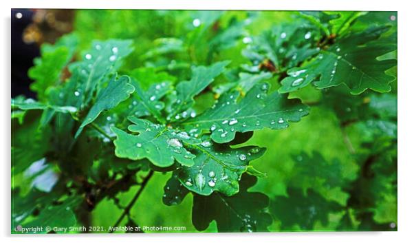 Raindrops on Leaves Acrylic by GJS Photography Artist