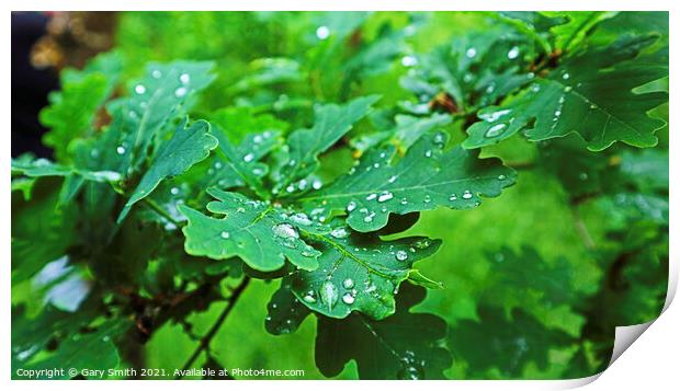Raindrops on Leaves Print by GJS Photography Artist