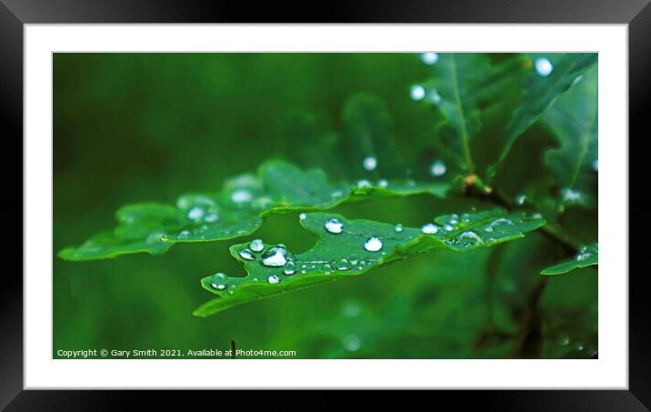 Raindrops Leaves  Framed Mounted Print by GJS Photography Artist