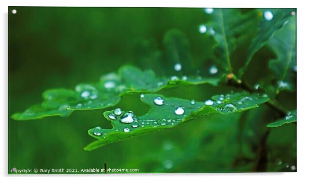 Raindrops Leaves  Acrylic by GJS Photography Artist