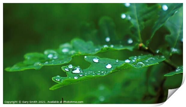 Raindrops Leaves  Print by GJS Photography Artist