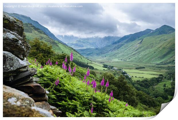 Nant Ffrancon Snowdonia Landscape Wales Print by Pearl Bucknall