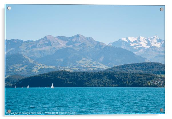 Swiss Thun lake and alps mountain Acrylic by Sanga Park
