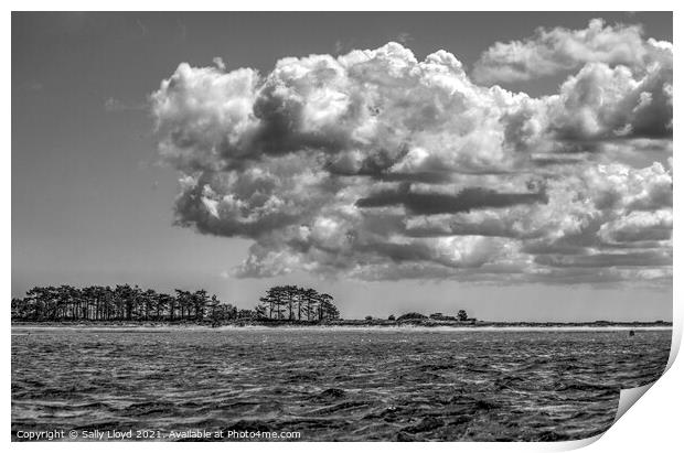 Cumulus at Wells next the Sea Print by Sally Lloyd