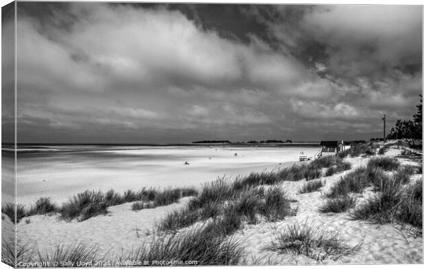 The Tranquil Majesty of Holkham Beach Canvas Print by Sally Lloyd