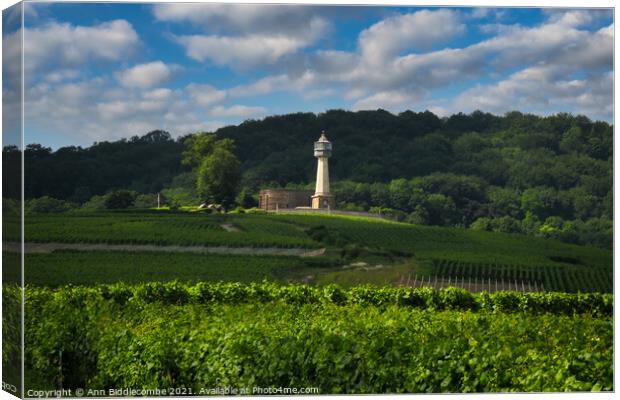 Lighthouse surrounded by vineyards Canvas Print by Ann Biddlecombe