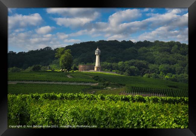 Lighthouse surrounded by vineyards Framed Print by Ann Biddlecombe