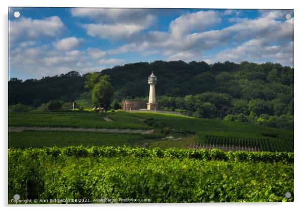 Lighthouse surrounded by vineyards Acrylic by Ann Biddlecombe