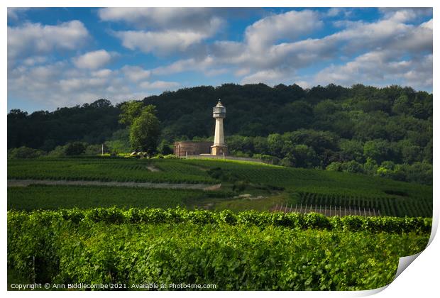 Lighthouse surrounded by vineyards Print by Ann Biddlecombe