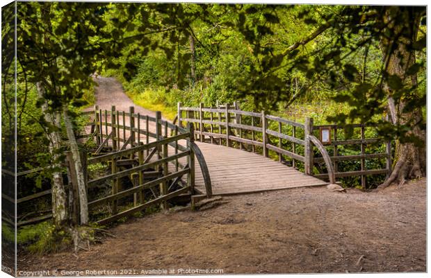 Pooh Sticks Bridge located in the One Hundred Acre woods  Canvas Print by George Robertson