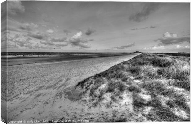 Brancaster - view to the east.  Canvas Print by Sally Lloyd