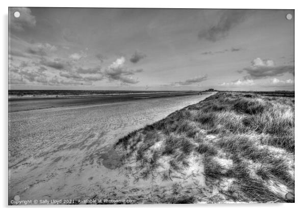 Brancaster - view to the east.  Acrylic by Sally Lloyd