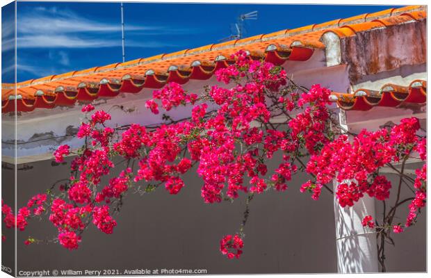 Pink Bougainvillea Orange Roof Andalusia Spain Canvas Print by William Perry