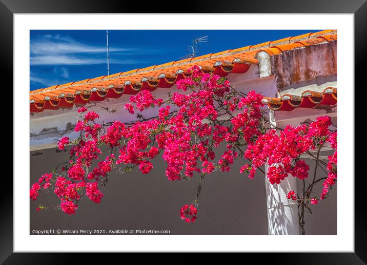 Pink Bougainvillea Orange Roof Andalusia Spain Framed Mounted Print by William Perry