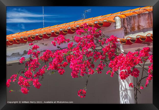 Pink Bougainvillea Orange Roof Andalusia Spain Framed Print by William Perry