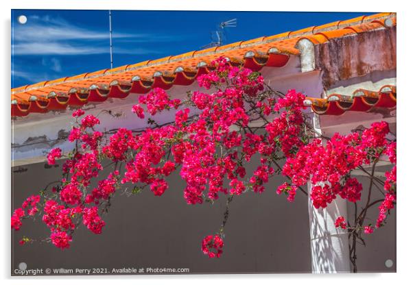 Pink Bougainvillea Orange Roof Andalusia Spain Acrylic by William Perry