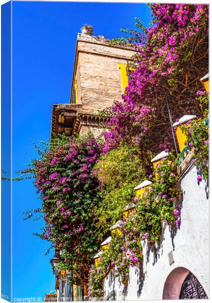 Colorful Building Wall Santa Cruz Garden District Seville Spain Canvas Print by William Perry