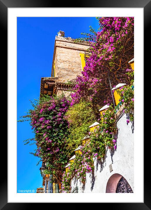 Colorful Building Wall Santa Cruz Garden District Seville Spain Framed Mounted Print by William Perry