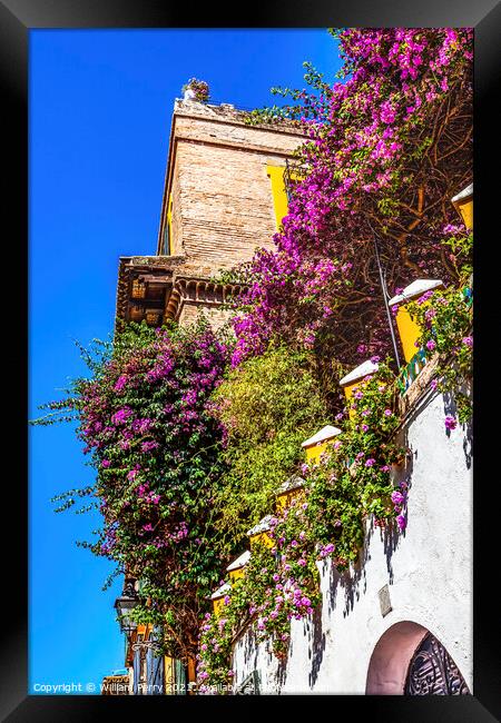 Colorful Building Wall Santa Cruz Garden District Seville Spain Framed Print by William Perry
