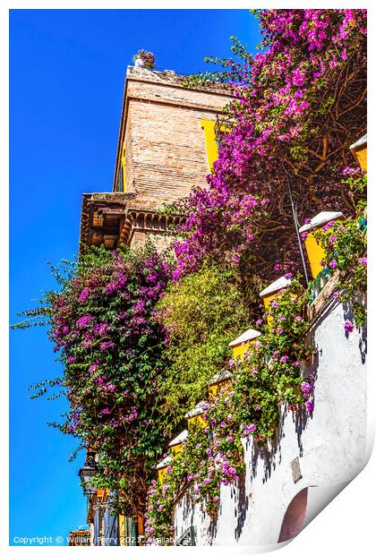 Colorful Building Wall Santa Cruz Garden District Seville Spain Print by William Perry