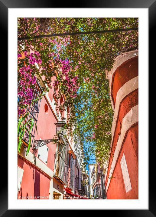 Colorful Building Flowers Santa Cruz Garden District Seville Spa Framed Mounted Print by William Perry