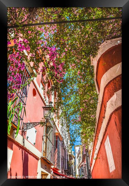 Colorful Building Flowers Santa Cruz Garden District Seville Spa Framed Print by William Perry