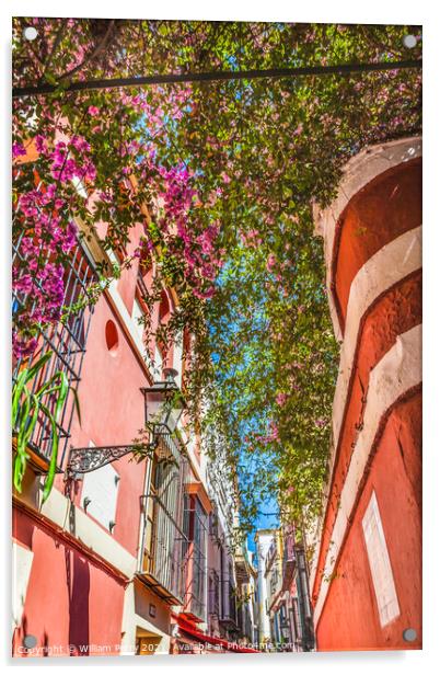 Colorful Building Flowers Santa Cruz Garden District Seville Spa Acrylic by William Perry
