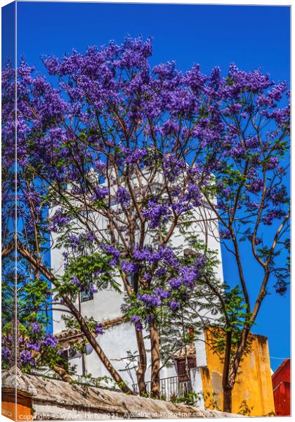 Colorful Buildings Jacaranda Flowers Santa Cruz Garden District  Canvas Print by William Perry