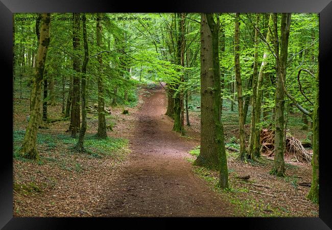 Fforest Fawr woodland area near Cardiff Framed Print by Nick Jenkins