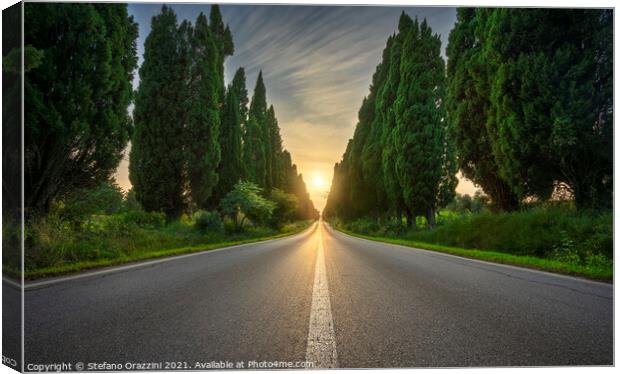 Bolgheri Boulevard and the Sun in the Center Canvas Print by Stefano Orazzini