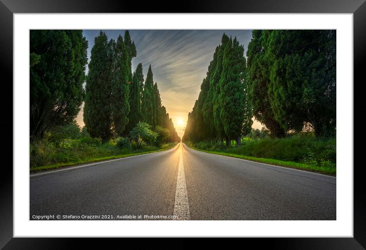 Bolgheri Boulevard and the Sun in the Center Framed Mounted Print by Stefano Orazzini