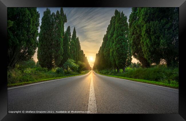 Bolgheri Boulevard and the Sun in the Center Framed Print by Stefano Orazzini