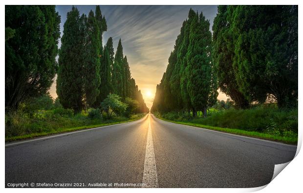 Bolgheri Boulevard and the Sun in the Center Print by Stefano Orazzini
