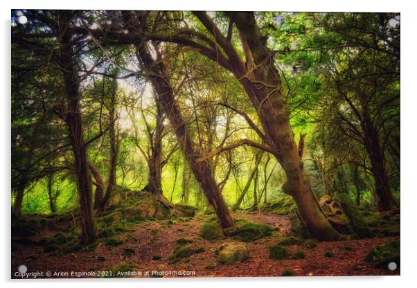 Magic Bathampton woodland, England  Acrylic by Arion Espinola