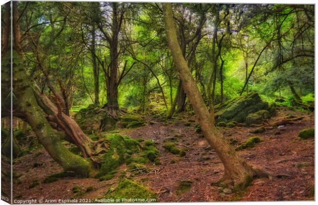 The ancient Bathampton woods, England  Canvas Print by Arion Espinola