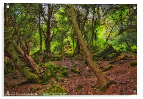 The ancient Bathampton woods, England  Acrylic by Arion Espinola