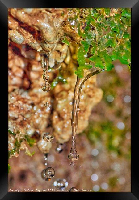 Water Droplets in The forest  Framed Print by Arion Espinola