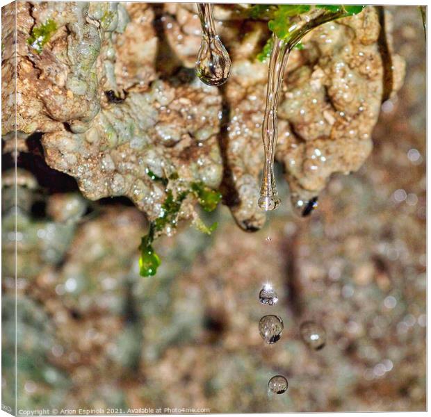 Droplets at the Bathampton woods  Canvas Print by Arion Espinola