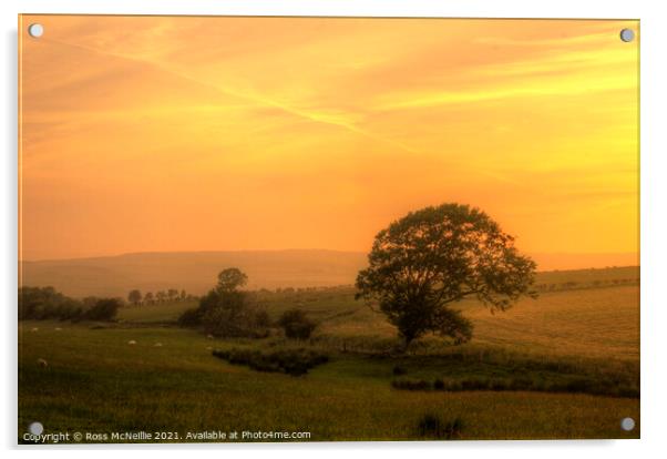 Cassington Scene Acrylic by Ross McNeillie