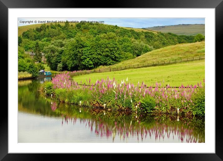 Canal reflections at Littleborough. Framed Mounted Print by David Birchall